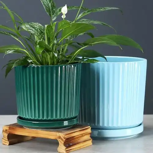 好看看的创意花盆陶瓷时尚盆栽高档北欧底盘花盆