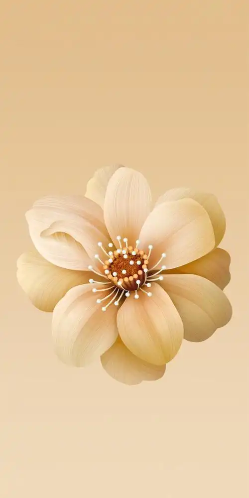 小米6x流沙金花朵内置壁纸,高清图片,手机壁纸