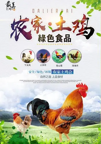 包图 广告设计 海报 【psd】 农家土鸡绿色食品创意 所属分类: 广告