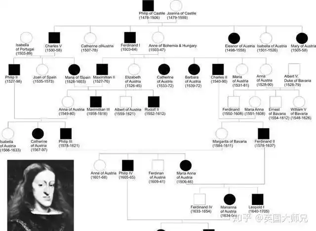 图:哈布斯堡下巴的遗传图;图源于的百度ta说纯种狗可没有"王位"要继承