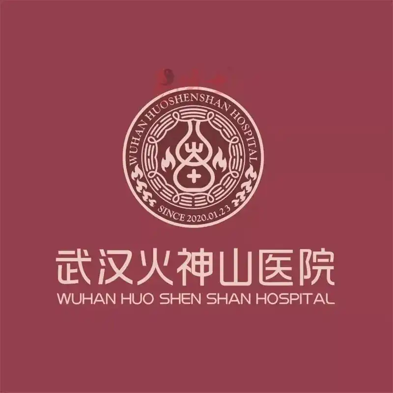 对于火神山和雷神山医院的logo,说不出个一二三来也该最最最 - 抖音