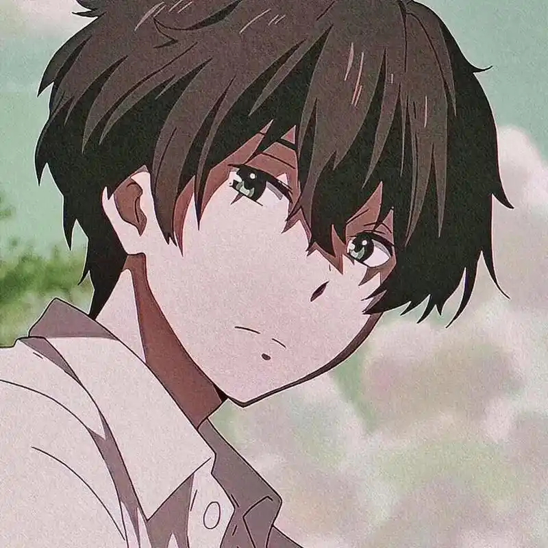 动漫男头 #冰菓 #折木奉太郎 "不做也行的事情就不做,非 - 抖音