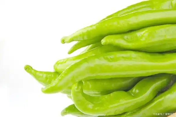 青椒,又称为青辣椒或青尖椒,是一种常见的蔬菜