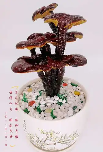 来自汉人老家灵芝盆景～祥芝献瑞 福禄寿禧 吉祥如意 国泰民安!