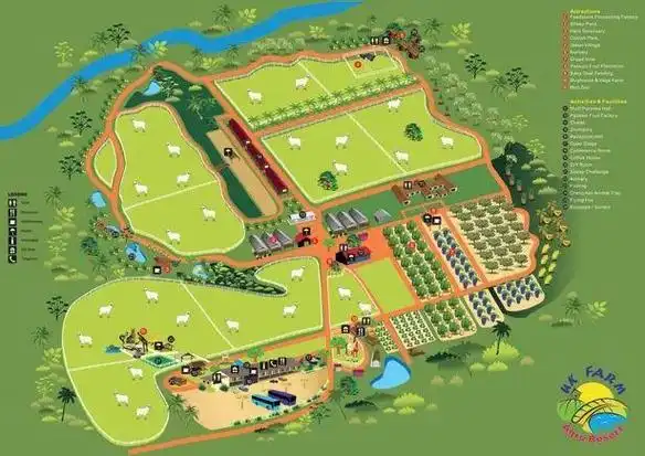 嫁接自然教育,100亩小牧场,蝶变为国际网红打卡地