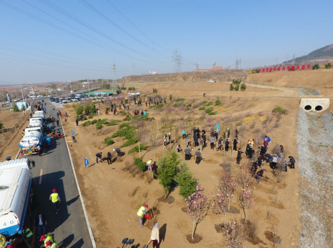 大连营城子街道:搬家式扫除地毯式整治 持续深入开展爱国卫生运动