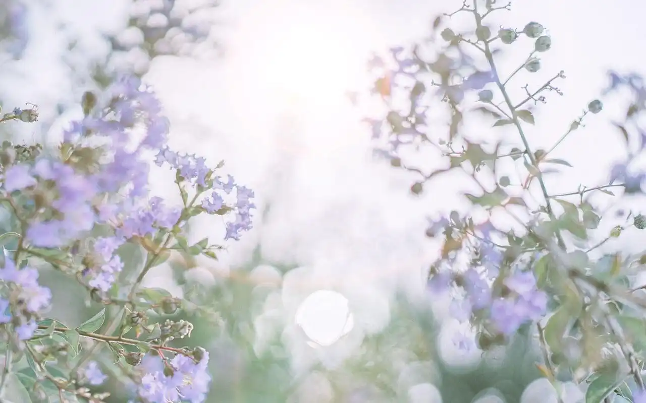 小清新唯美风景图片高清桌面壁纸