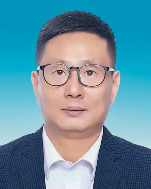 现任重庆市大渡口区茄子溪街道党工委书记. /p>