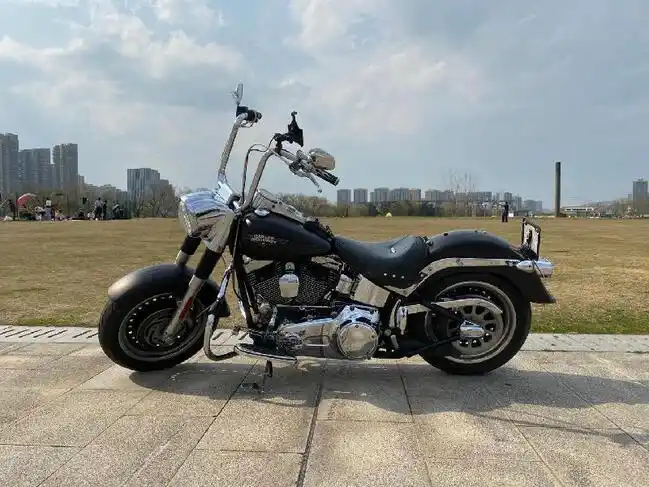 09大贸哈雷肥仔