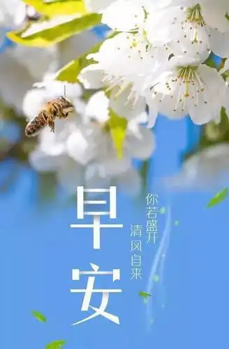 早上起床群发温馨的早安问候