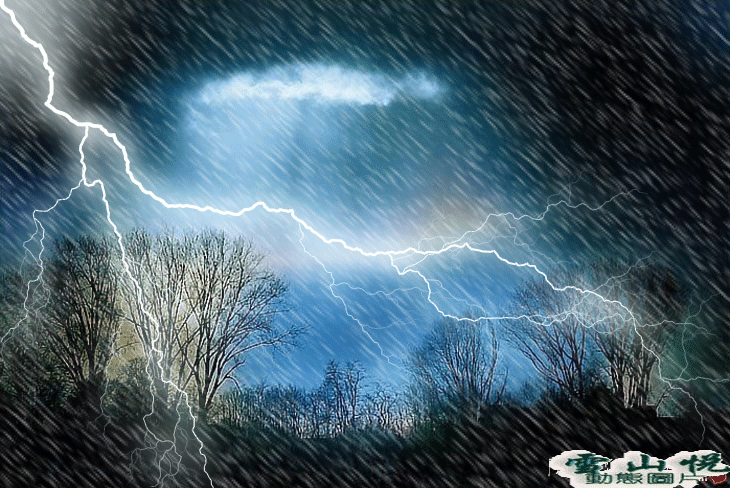 730_488gif 动态图 动图