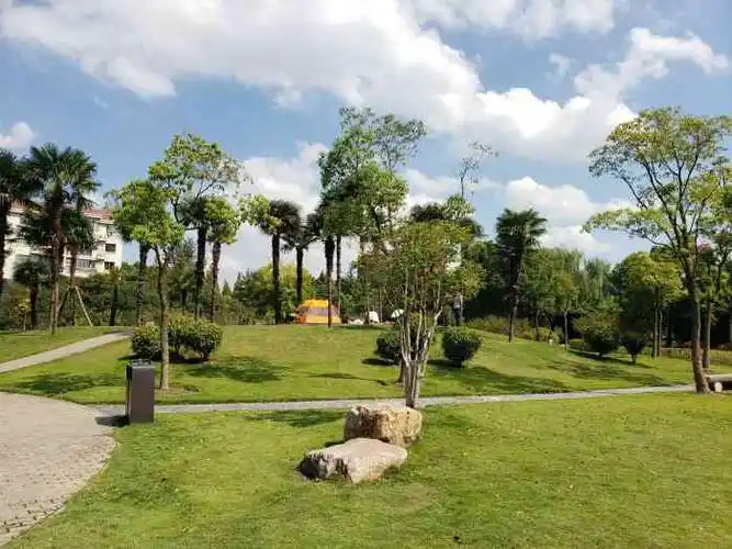 金鹤公园-"在家附近的免费开放公园,走过来几分钟吧."-大众点评移动版