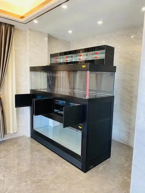 复式双层组缸叠·首创过滤-辉煌水族鱼缸工艺厂圈-龙巅