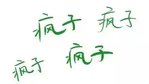 尽管叫我疯子不准叫我傻子