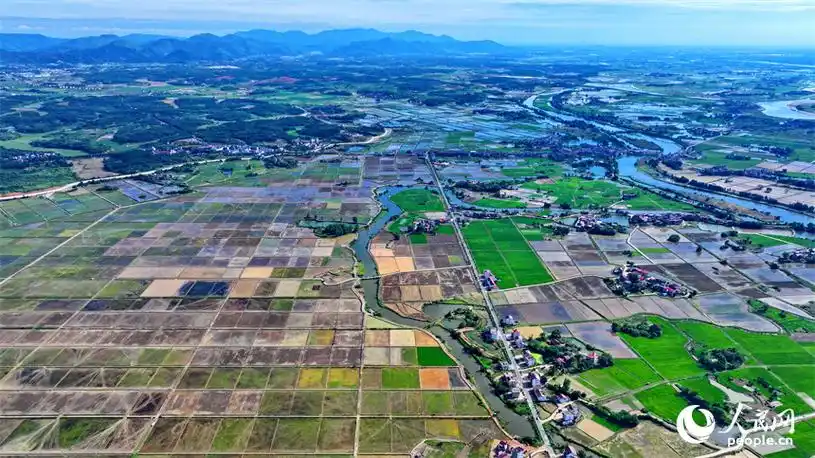 人民网 朱海鹏摄九江市永修县马口镇一带,蓄水翻耕后的高标准农田如同