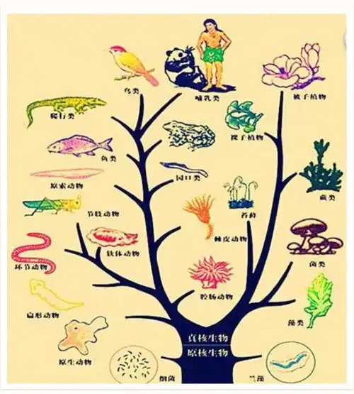 我的专业是生物