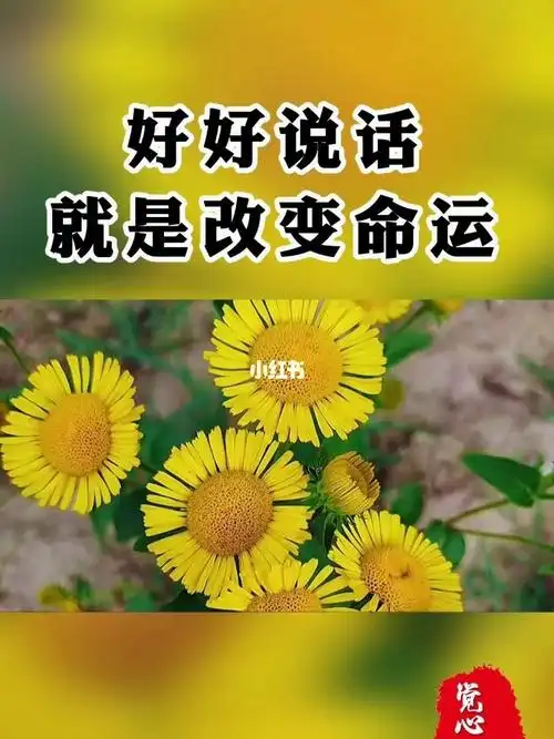 好好说话就是改变命运