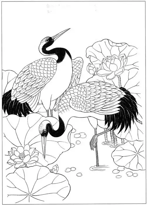 仙鹤高清白描线稿图片下载19幅