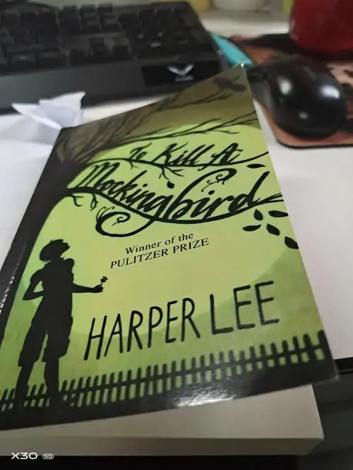 by the way,首页那句话怎么理解?#to  kill a mockingbird