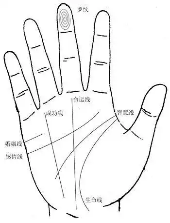 手相学大全气色,手型,手指等等看你不知道的命运