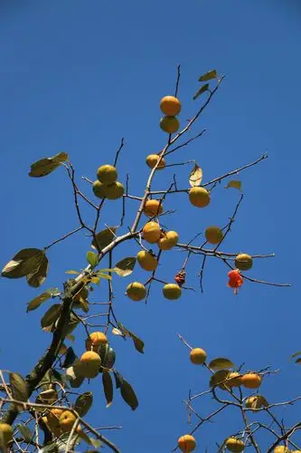 写美篇         阅读 86 投诉文章 热门评论  0 雪儿 欣赏初秋美景 拍