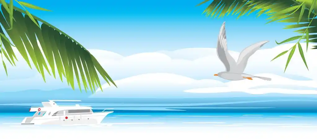 飞行的海鸥在海上,海鸥在海上飞行.矢量图