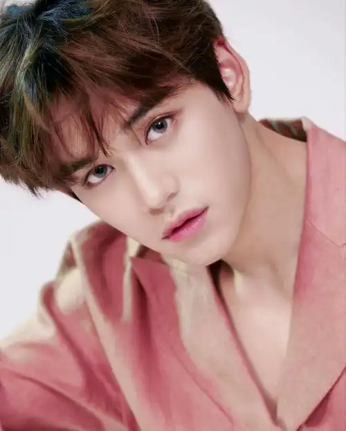 温州少爷,外号董小花,昀昀等,舞担,是nct127的团宠,笑点全在hxx上,分