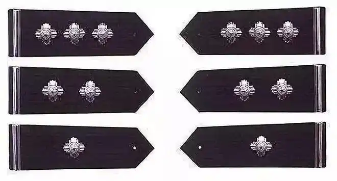 警察里有穿蓝衬衣和白衬衣的, 差别有多大?|肩章_网易订阅