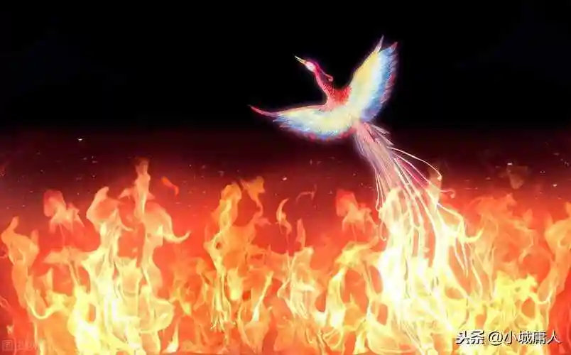 凤凰涅盘什么意思凤凰涅磐最直接的意思