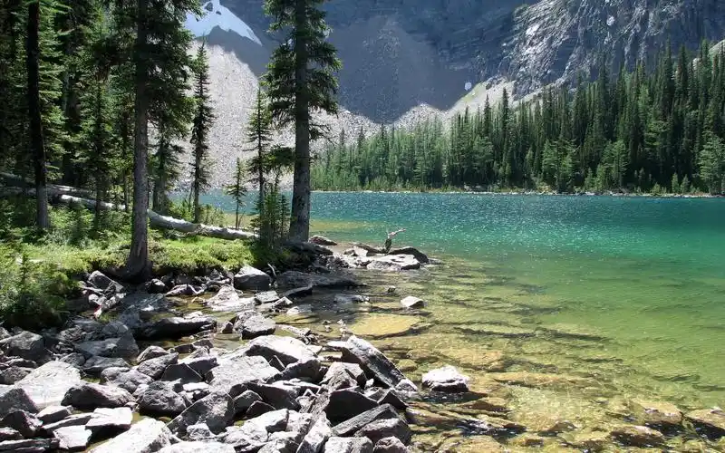 加拿大杰士伯国家公园风景壁纸