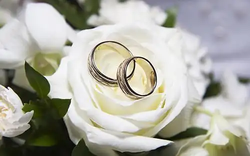 浪漫唯美的婚戒素材