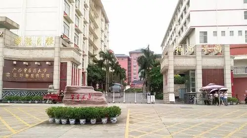 广西中医药大学赛恩斯新医药学院2021年录取分数线