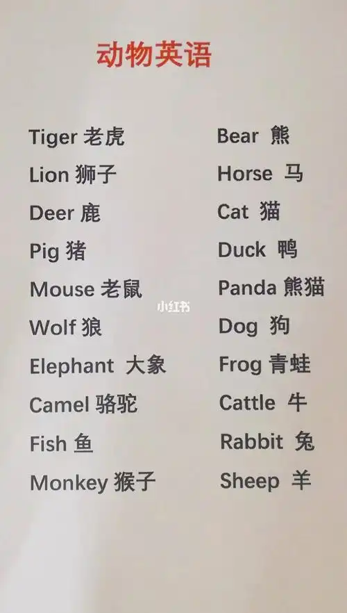 动物的英语单词