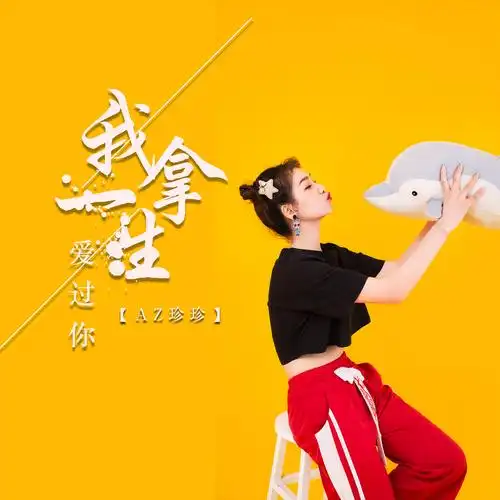 az珍珍我拿一生爱过你dj版
