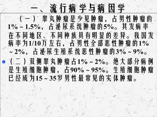 睾丸肿瘤诊断诊疗指南_第2页