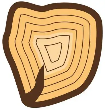 年轮卡通黑白的年轮年轮素材年轮素材卡通树木年轮卡通树木年轮矢量黑