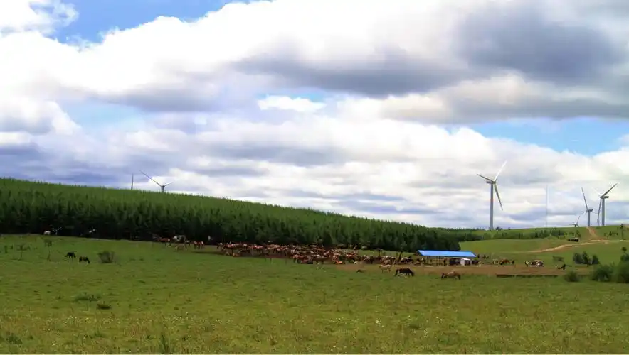 月亮湖边,塞罕坝国家森林公园