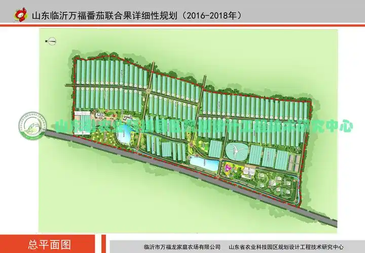 山东临沂万福番茄联合果详细性规划20162020年