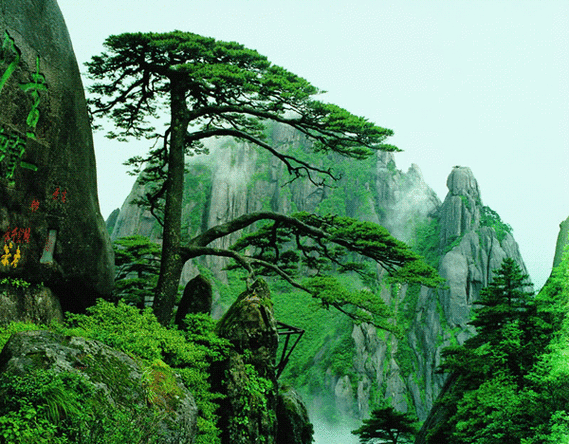 中国哪些知名大山成为世界遗产?