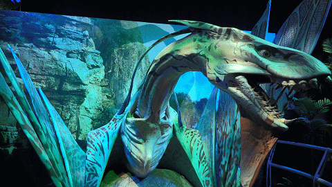 藏不住了亲测全国首站阿凡达展览好耍得不想回家