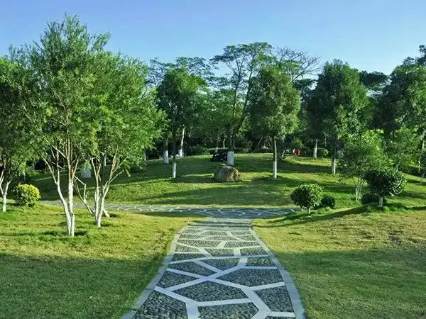 园林绿化 - 青岛景界园艺景观工程有限公司