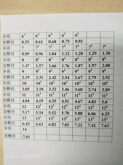 胎儿顶臀径与孕周