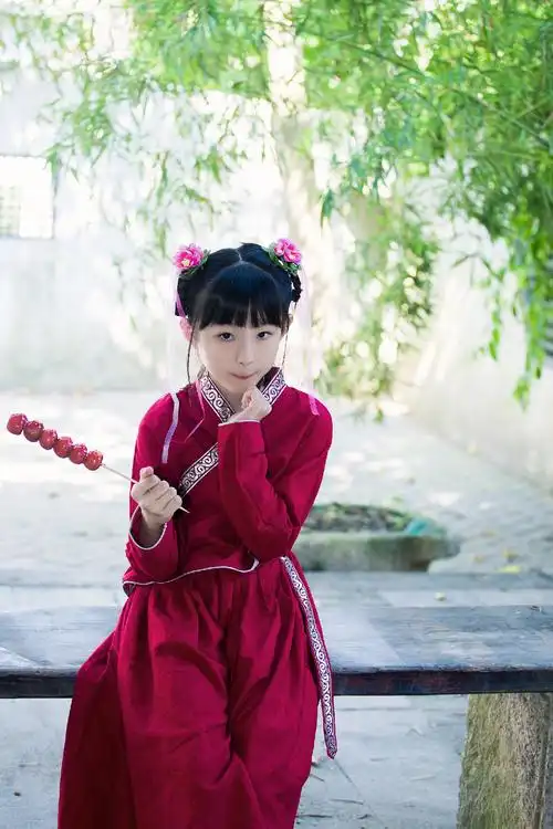 标题:不喜欢吃冰糖葫芦的小小仙女