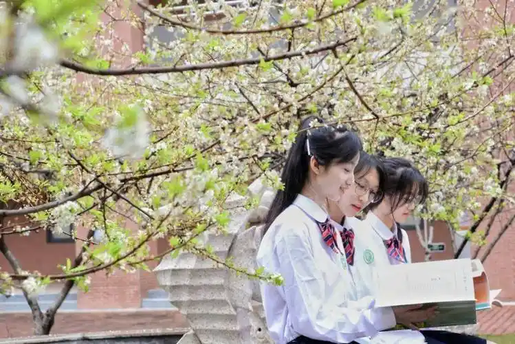 名校风采花都区秀全中学优化学校顶层设计推进教育高质量发展