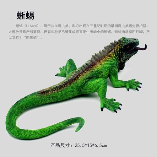 实心绿鬣蜥 巨型美洲蜥蜴模型纪录片动物摆件儿童玩具仿真模型