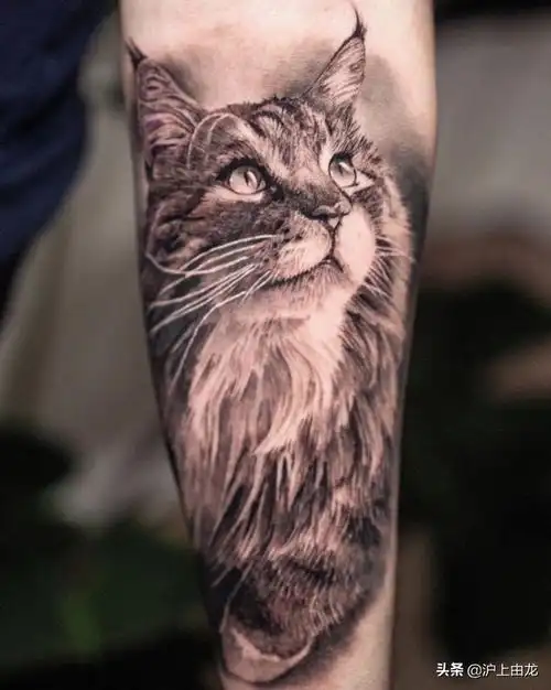 16张猫咪纹身图案