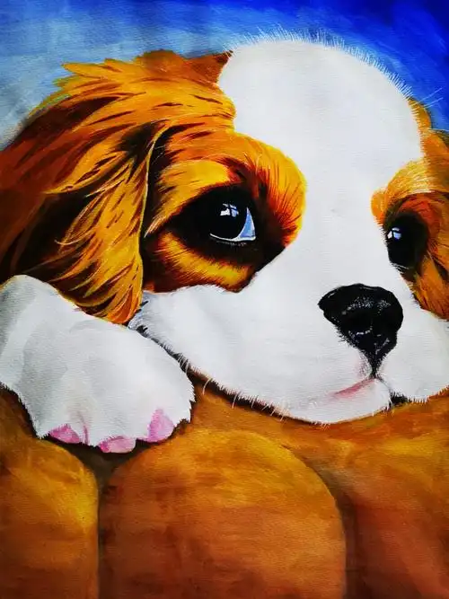 水粉查理王小猎犬,30年没有用过水粉了,手生