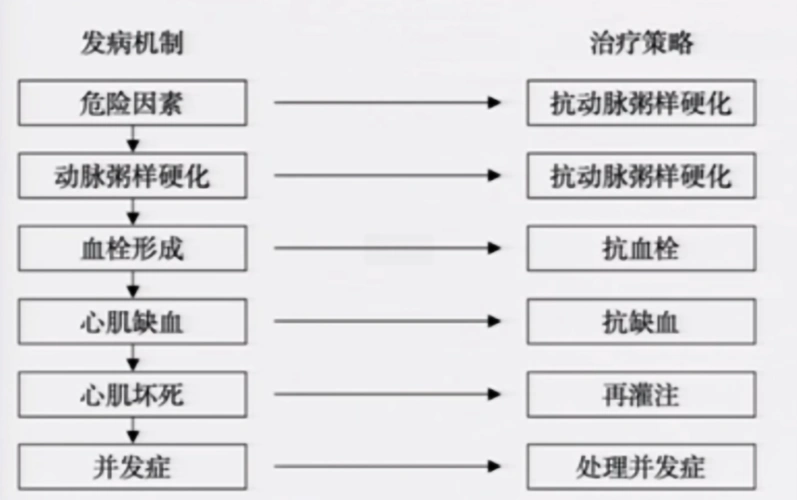 刘学波教授st段抬高型心肌梗死如何诊疗occ2021