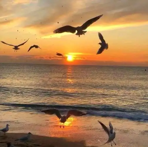 日常文案##朋友圈文案##文案##背景图##朋友圈分享##壁纸##手机壁