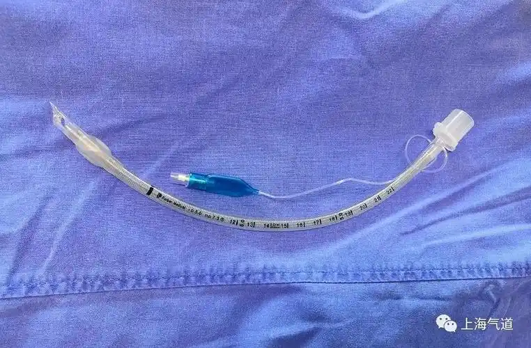 0#鹰嘴气管导管.